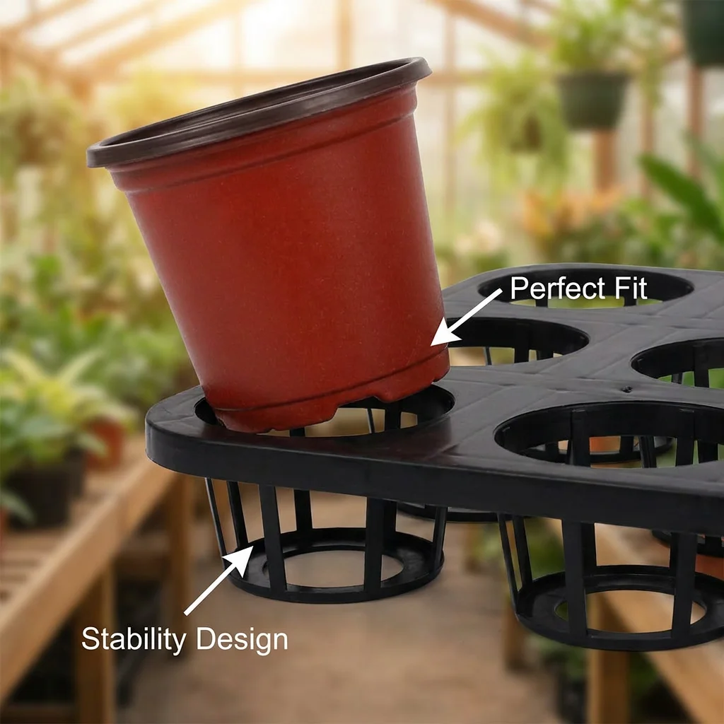 Zestaw plastikowych podkładek  – Echeveria Succulent recenzja i cena