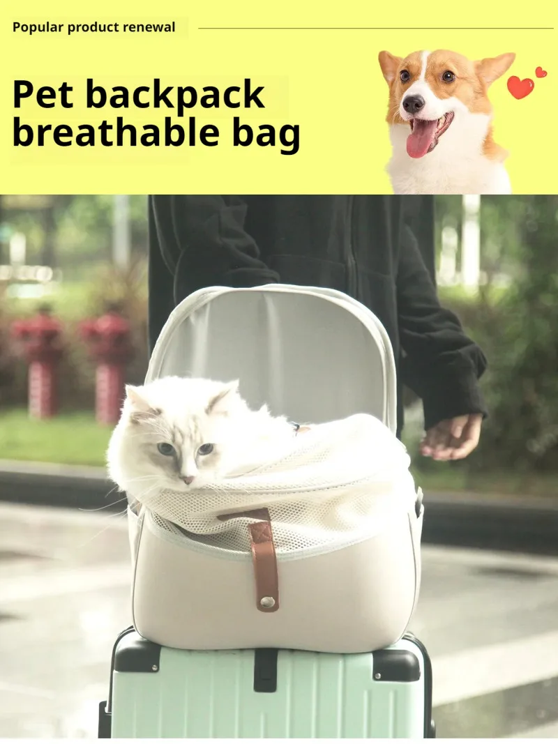 Foldable pet backpack portable anti-scratch waterproof cat outdoor carrying bag