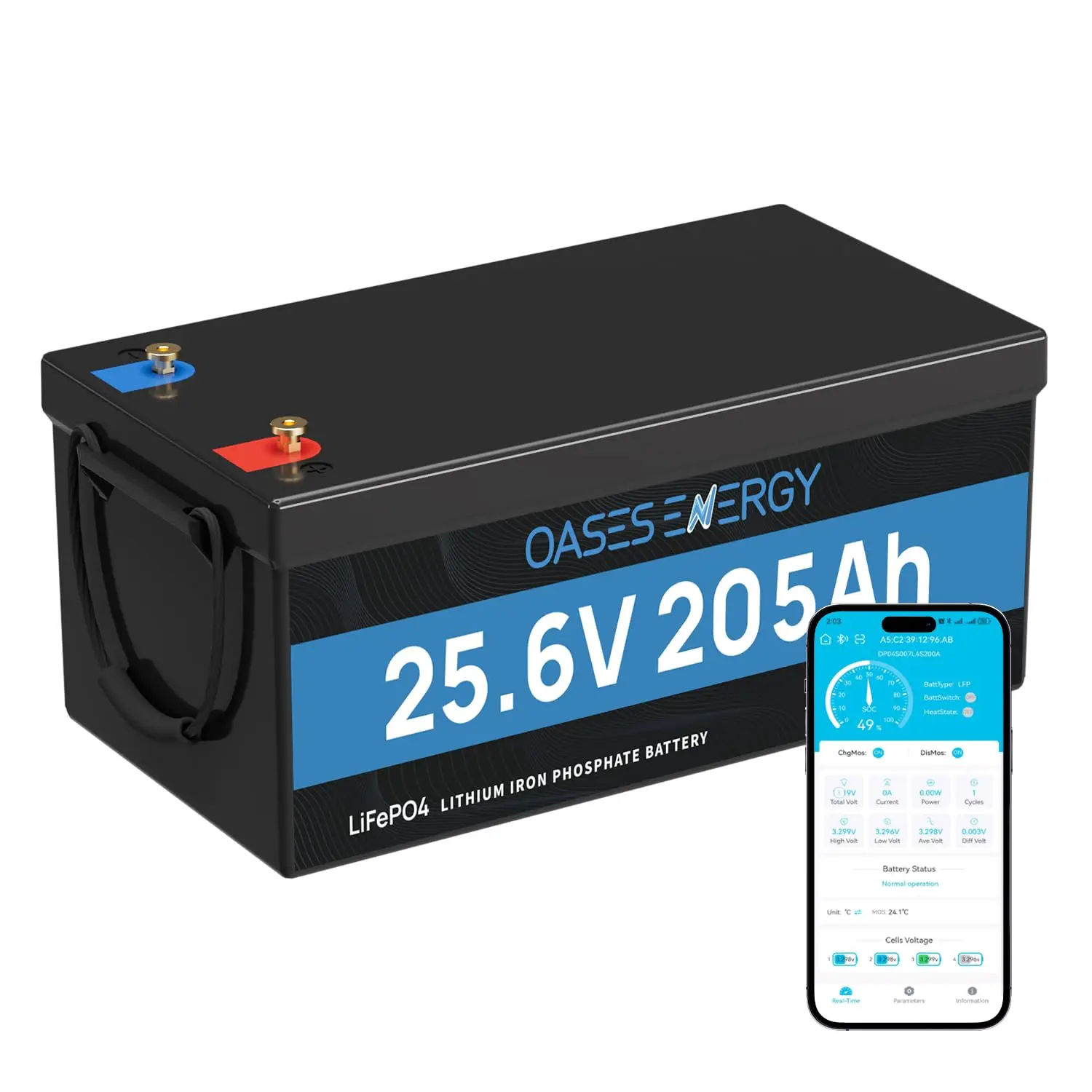 24V 200Ah (205Ah) LiFePO4 Lithium Battery with Bluetooth 200A BMS, 5248Wh Rechargeable Lithium Battery, Low-Temp, Custom