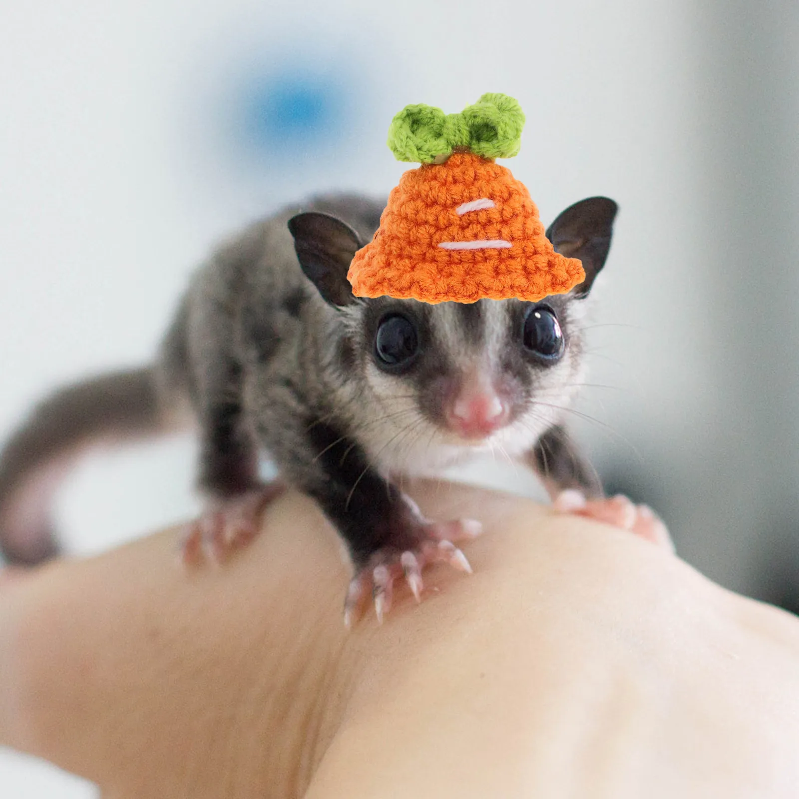 Lightweight Compact Knitted Small Pet Hat Suitable for Hamster Guinea Pig Chinchilla Squirrel Miniature Snake Decorative