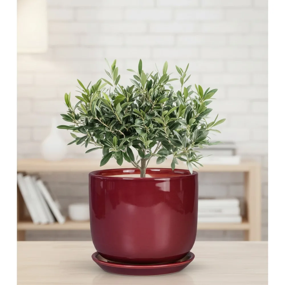 

Современный керамический цветочный горшок 8 дюймов с дренажным отверстием и блюдцем, домашний и уличный горшок для растений для суккулентов, трав, домашнего декора