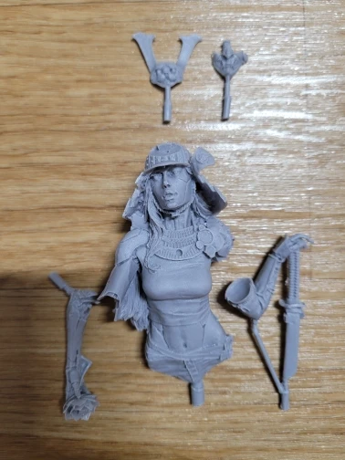 Buyer photo of this resin kit