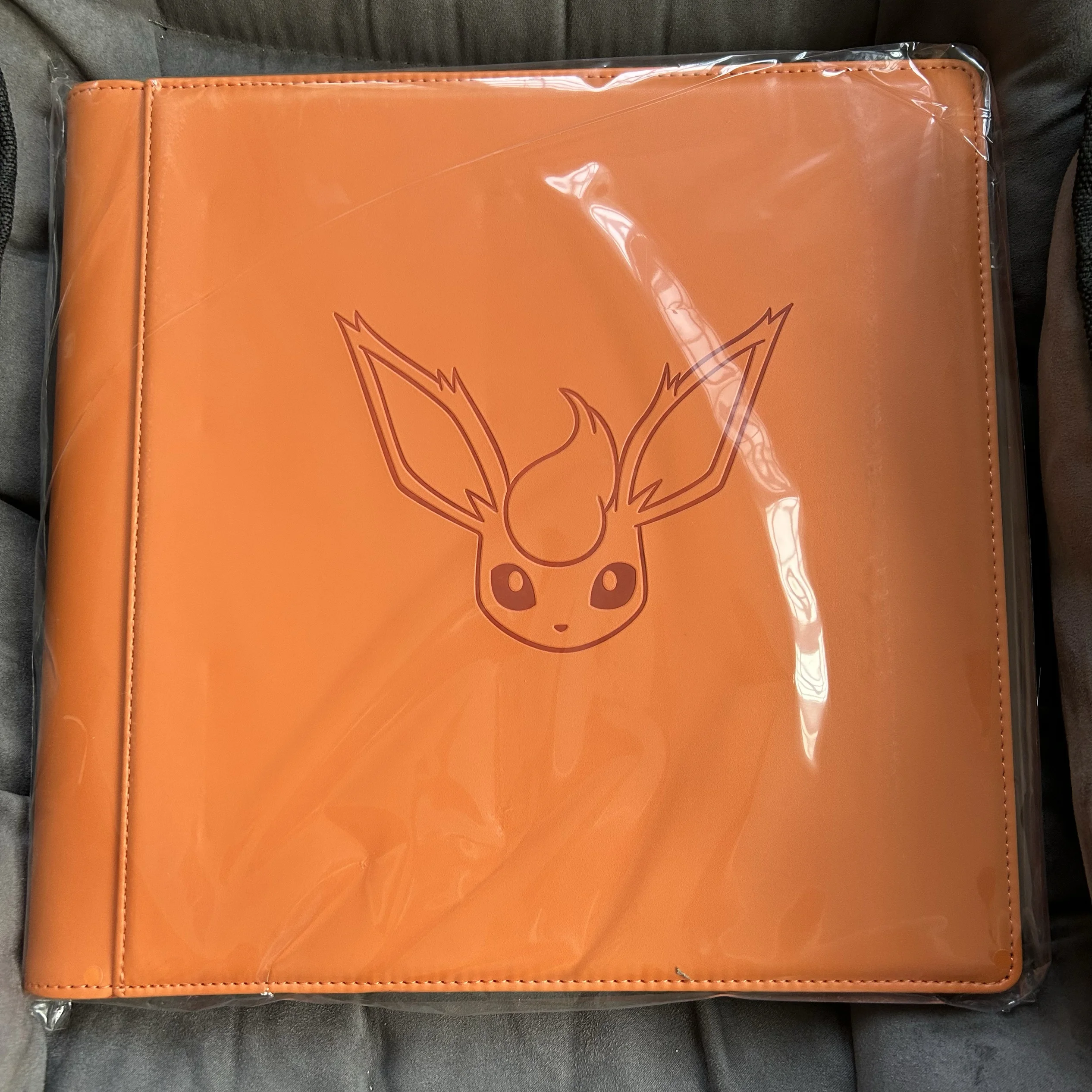 In Stock PokéMon Game PTCG Card Chinese Ibrahimovic Advanced Eeveelution Protection Register Card Book Collection Gifts Toys image 3