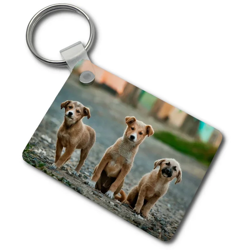 Custom 1/2 Photos Keychain, Unique Keepsake Gift
