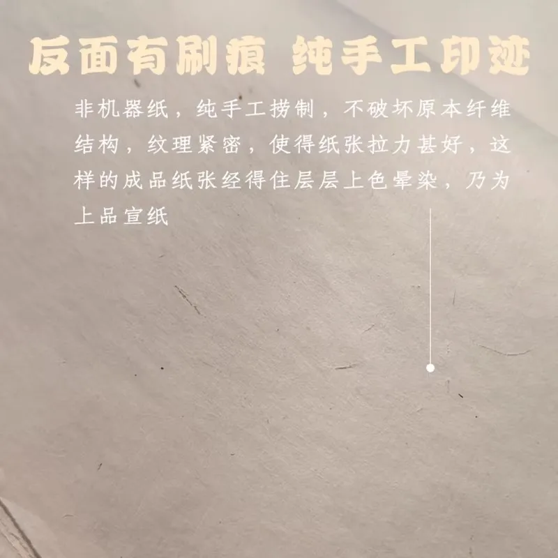Ripe Xuan Paper 5 Sheets for Gongbi Painting, Chinese Rice Paper for Flower Bird Figure Fine Brushwork & Calligraphy