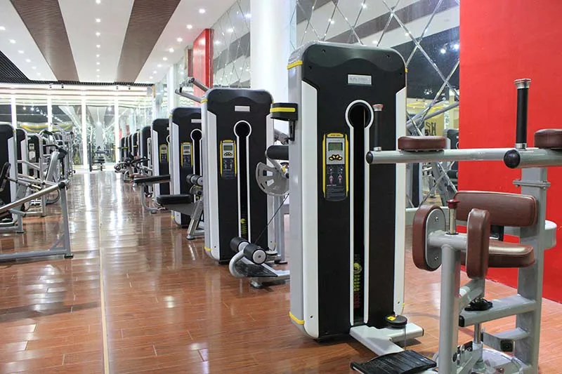 Equipo de gimnasio comercial para ejercicios de Fitness, máquina de cadera y glúteos, máquina de fuerza para culturismo