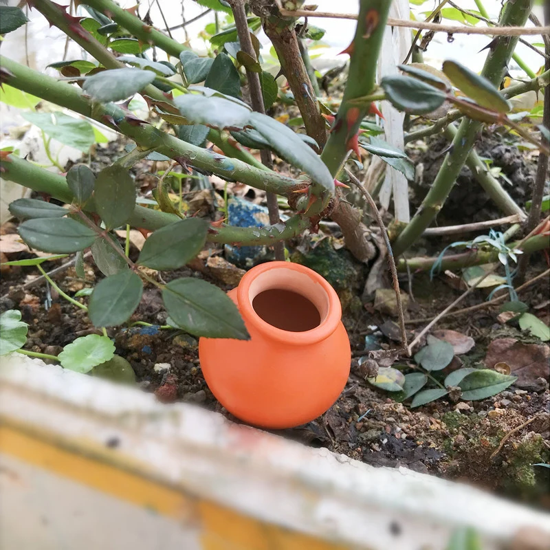 Sistema de riego por goteo automático, suministros de cultivo de maceta portátil, gotero de cerámica, Seeper de agua, autorriego, 1 unidad