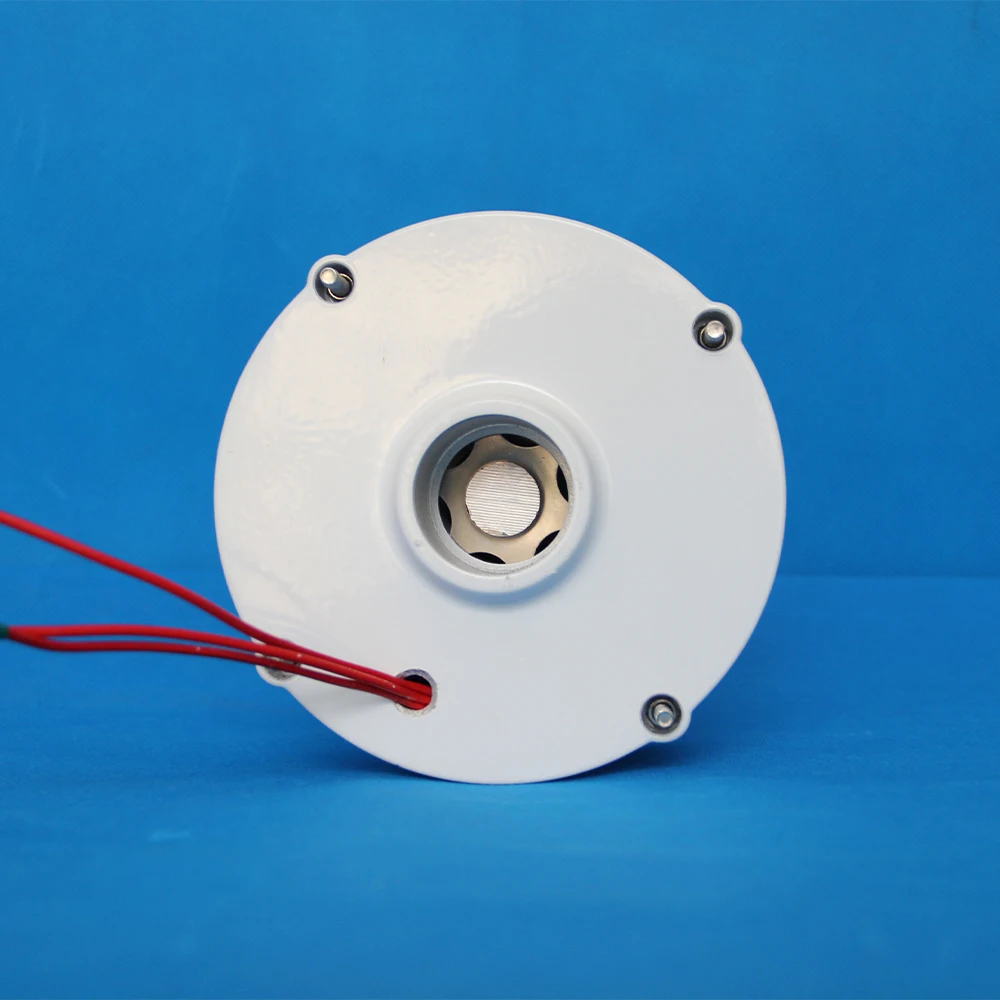 

1KW 3KW 500W Low Speed Permanent Magnet Generator 220V 380V Three Phase AC Alternator with DC Driving Motor for Home Appliance