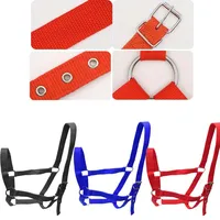 Professional Adjustable Horse Halter Equestrian Bridle Headcollar Ideal for Horse Training and Outdoor Riding 3