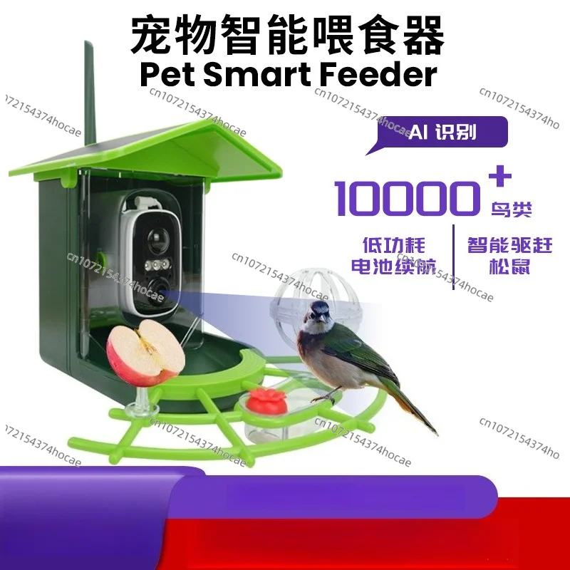 AI Intelligent Recognition Bird Watcher Outdoor Feeder with Camera Bird Feeder Solar Pet Feeder