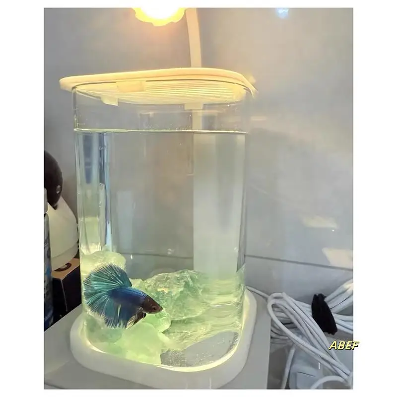 Mini Desktop Glas Aquarium Aquarium mit farbigem Kristall LED Licht Desktop Ornamente High-End Zierlampe