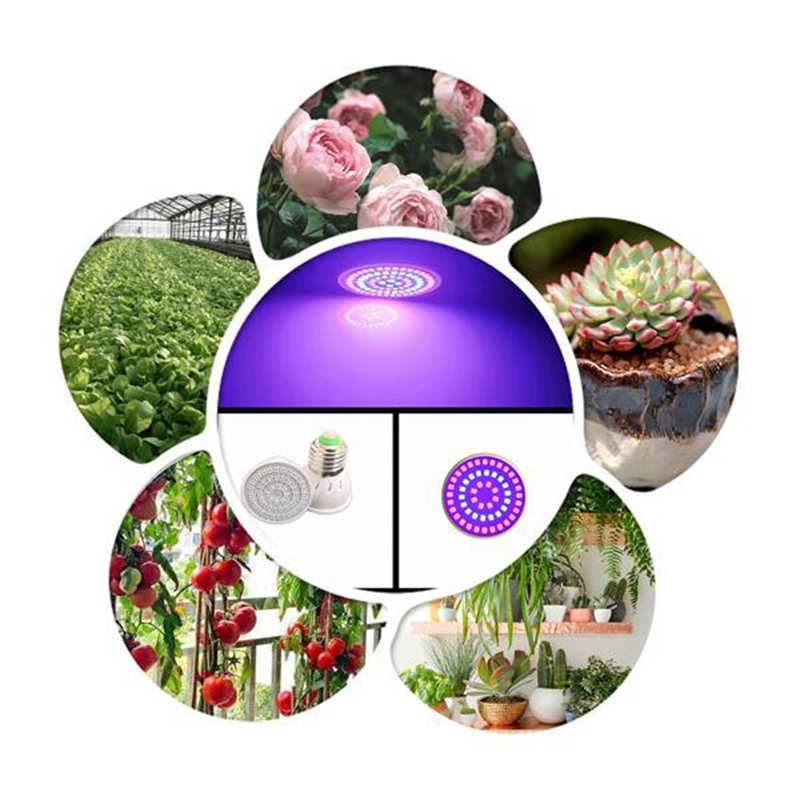 CMHI-Led نمو النبات مصباح حبيبات مصباح مستديرة متفاوتة الأحجام الطيف الكامل نمو النباتات مصباح ، لزهرة المائية البذور النباتات العضوية 8 قطعة