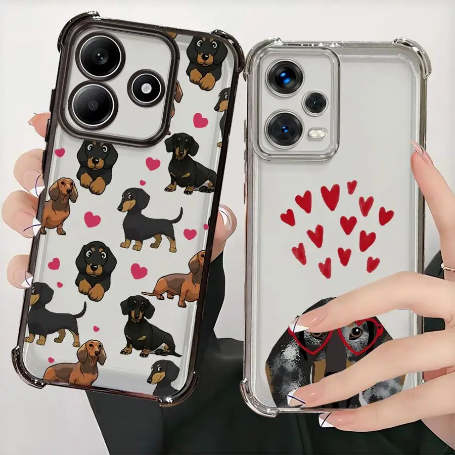 Interesting Dachshu…