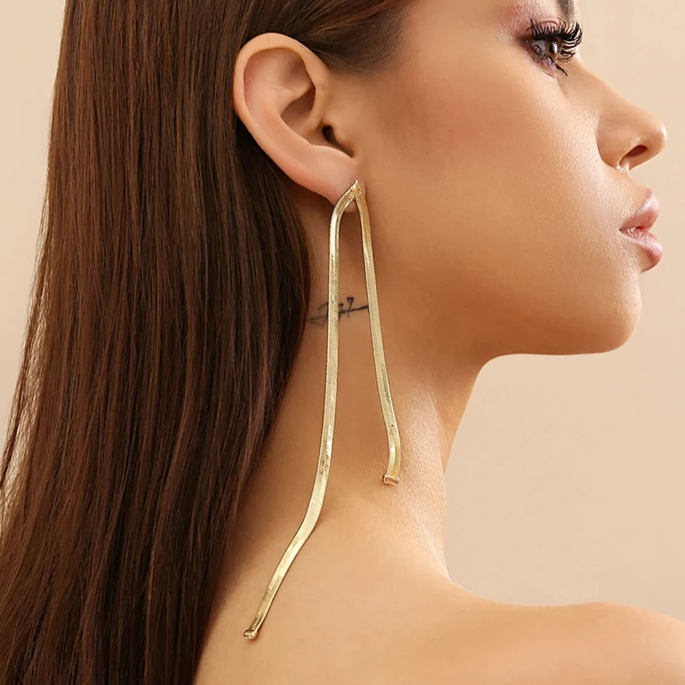 IngeSight.Z Punk Long Flat Snake Chain Drop Earrings for Women Minimalist Gold Color Dangle Earrings Lightweight Jewelry Party