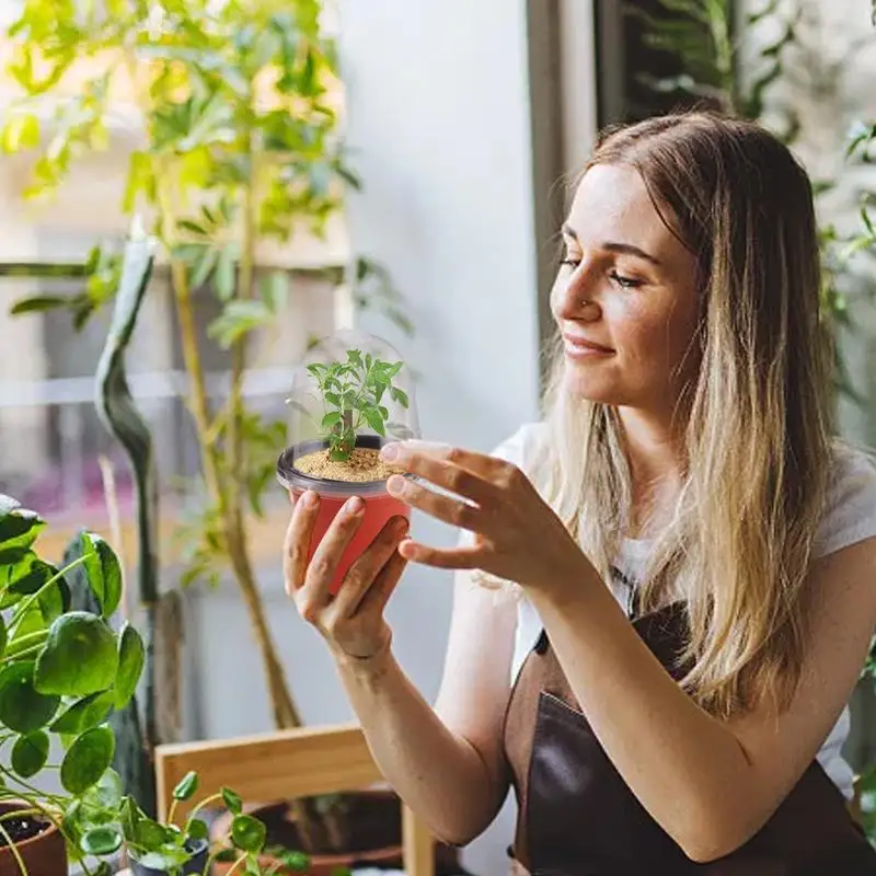 10 sztuk mała doniczka doniczka z kopułą wilgotności przezroczysta doniczka ogrodnicza doniczki początkowe z dolnymi otworami drenażowymi