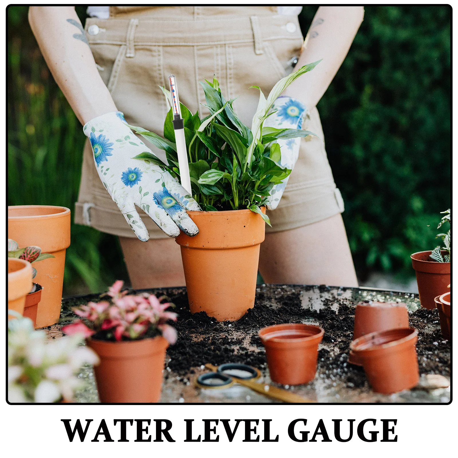 Medidor de nível de água para vasos de flores, 2 peças, alertas de exibição de bóia transparente, indicador de umidade perfeito para plantas de casa e jardins