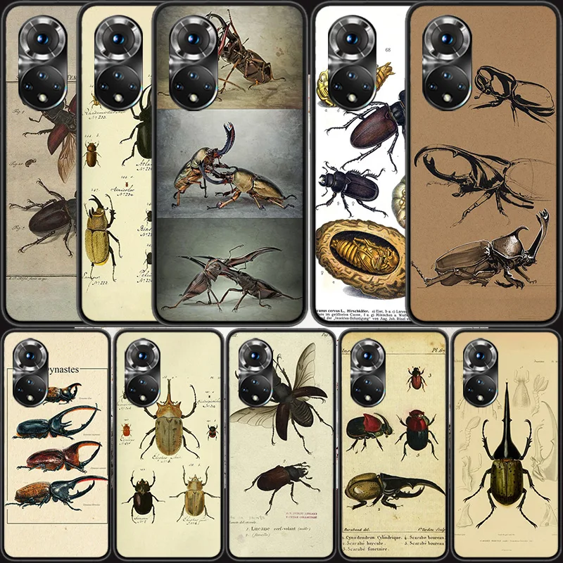 Bugs bees scientific decomposition Phone Case For Huawei P Smart 2021 Y5 Y6 Y7 Y9 Honor 50 20 Pro 10 10I 9 9X Y9S 8 8A 8X 8S 7S