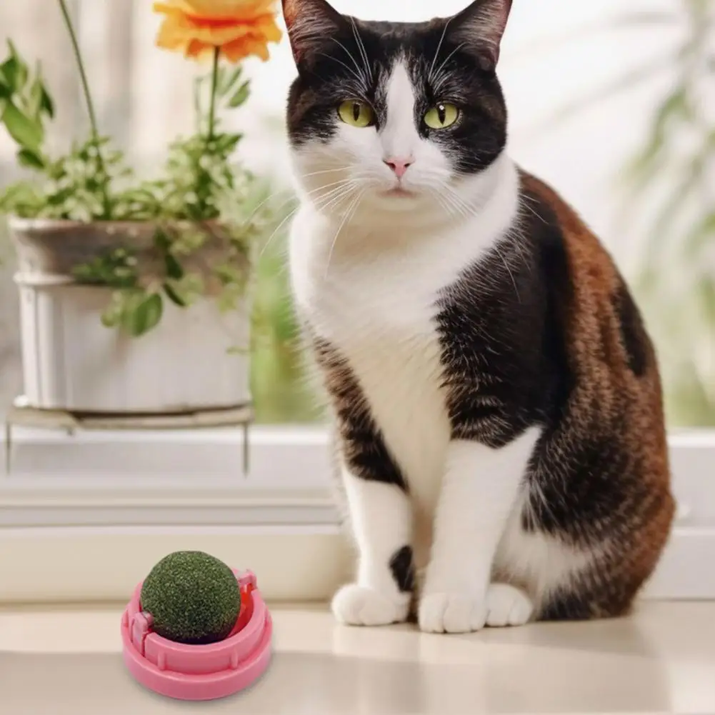 4.5cm Catnip Ball 360-Degree Rotatable Self Adhesive Wall-Mounted Eco-friendly Spinning Catnip Ball Toy Stick-on Pet Accessories