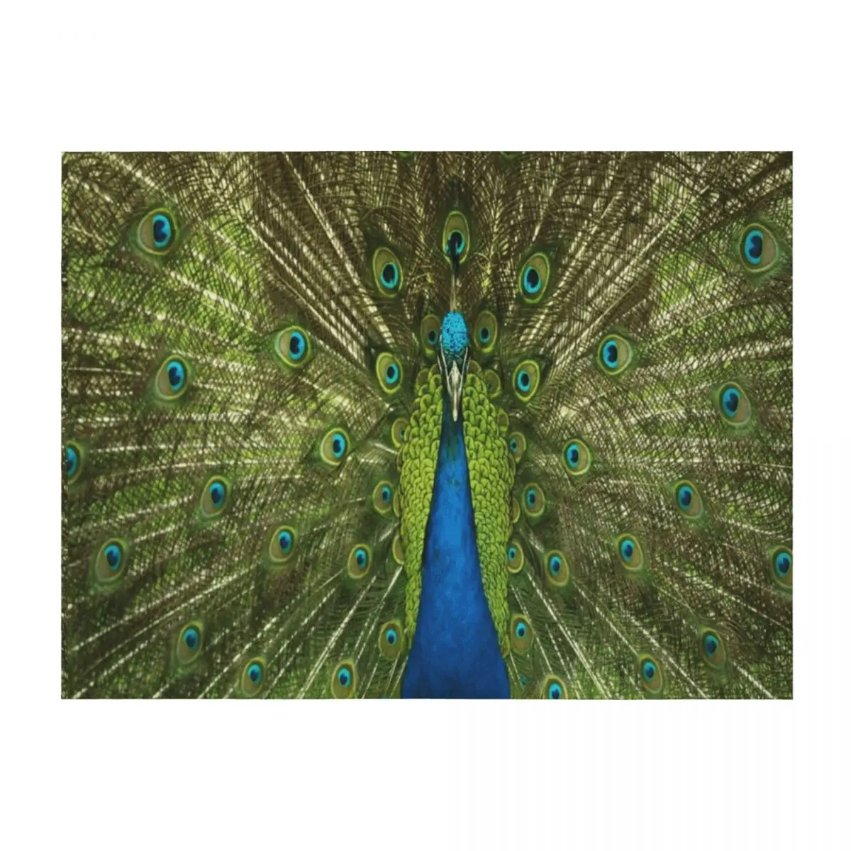 

Peacock Throw Blanket Polar Bed Giant Sofa Beach Blankets