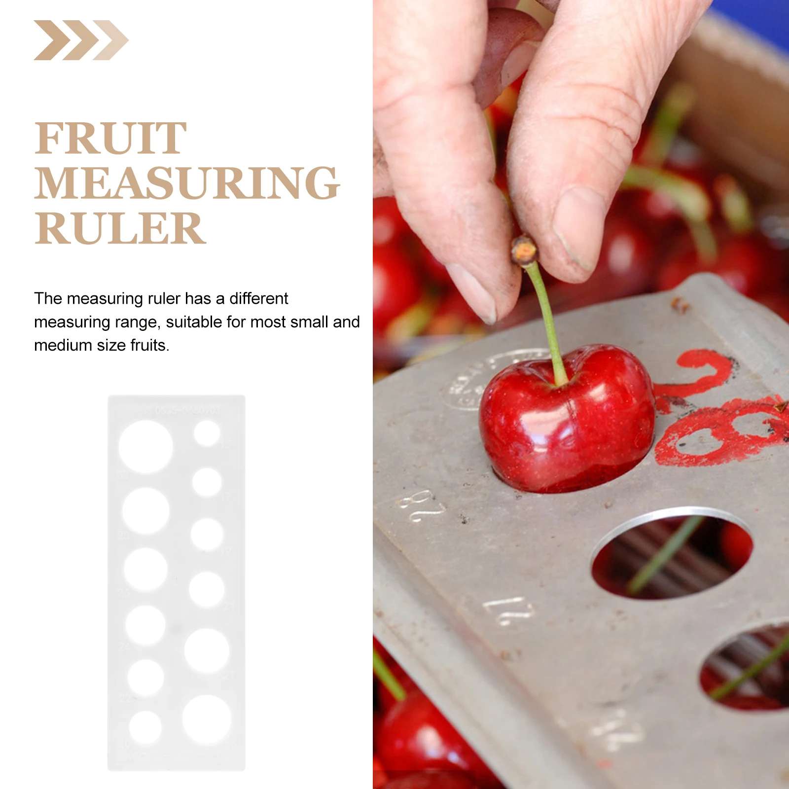 

Fruit Measuring Ruler 12 Sizes 15mm 32mm Plastic Tools for Citrus Apple Cherry Grading Fruits Diameter Measurement Tool Farm