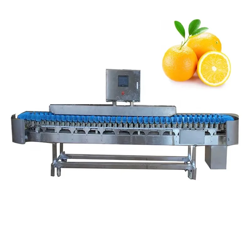 Vegetable Grading Machine Kiwi/Orange/Tomato Sorting Machine Tomato Grader