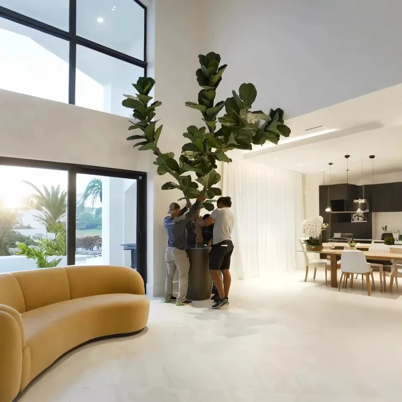 نباتات اصطناعية نباتات بوعاء داخلي شجرة اصطناعية كمان ورقة شجرة التين اللبخ Lyrata صديقة للبيئة