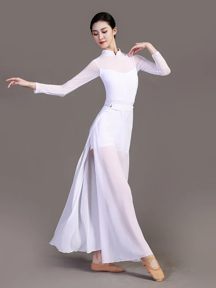 Classical Stage Performance Split Skirt Dancewear Suit Modern Dancing Dress A Slice Dance Skirts Jumpsuit Shorts Two Piece Set