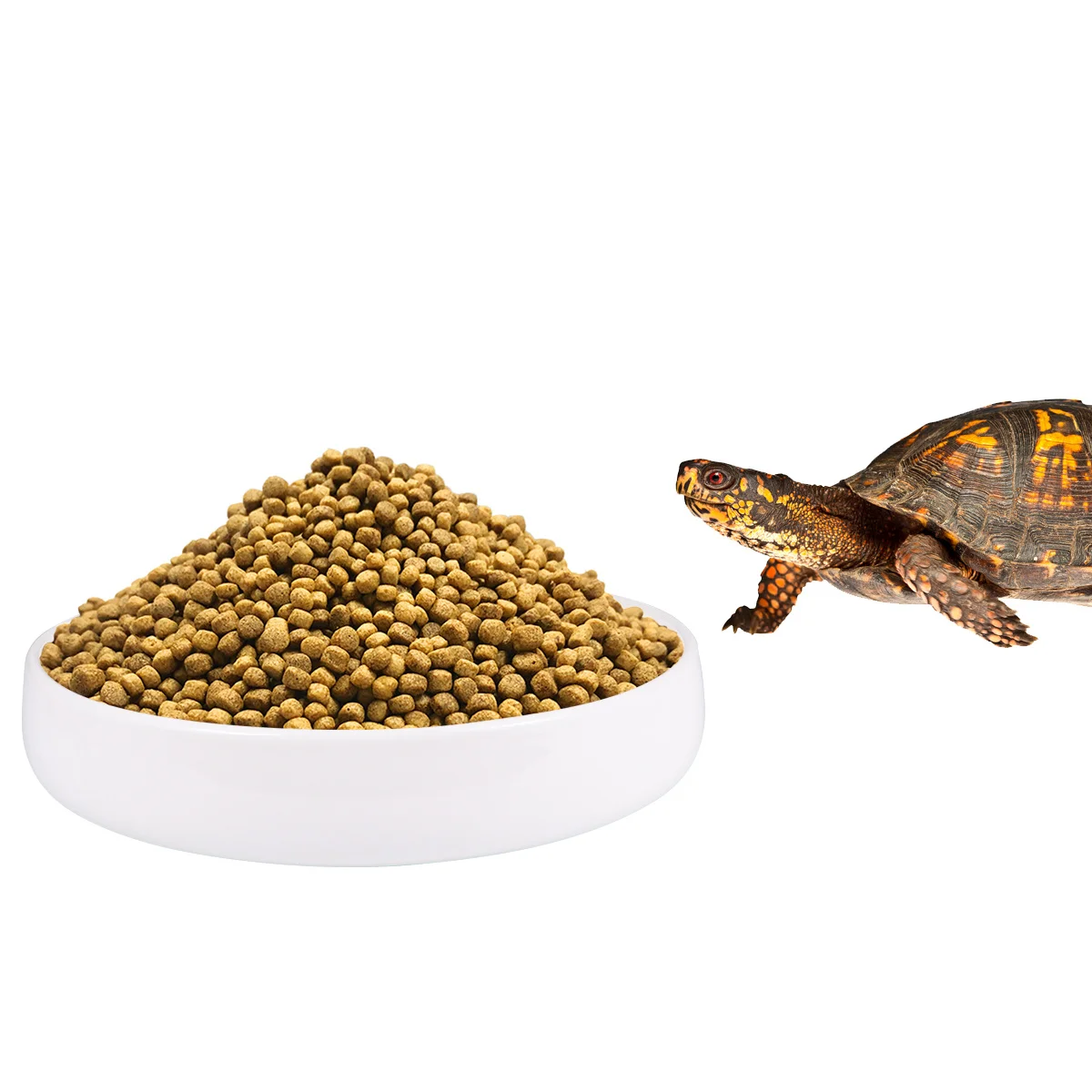 

Reptile Feeding Bowl Ceramic Feeding Container Water Dish White Diameter 21cm Lightweight Durable for Small Reptiles Tortoises