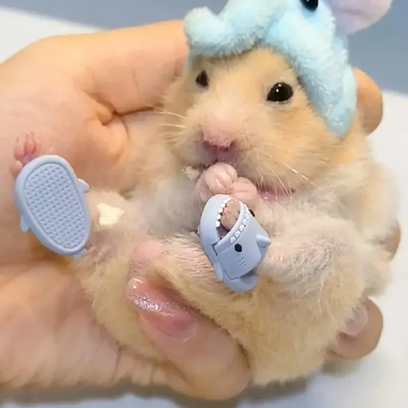 Hamster Costume Shoes Cute Shark Slippers Cosplay Suit Small Pet Fun Clothes Guinea Pigs Cosplay Assessories For Real Pets