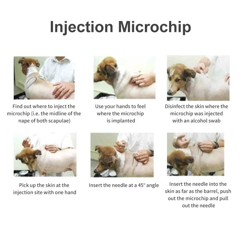 Injection ganglions de seringue de puce d'animal familier de FDX-B ISO11784/85 1.4 KHz Pistolet d'injection en métal de micropuce d'animal familier d'identification animale 1.4*8 134.2 8 mm RFID