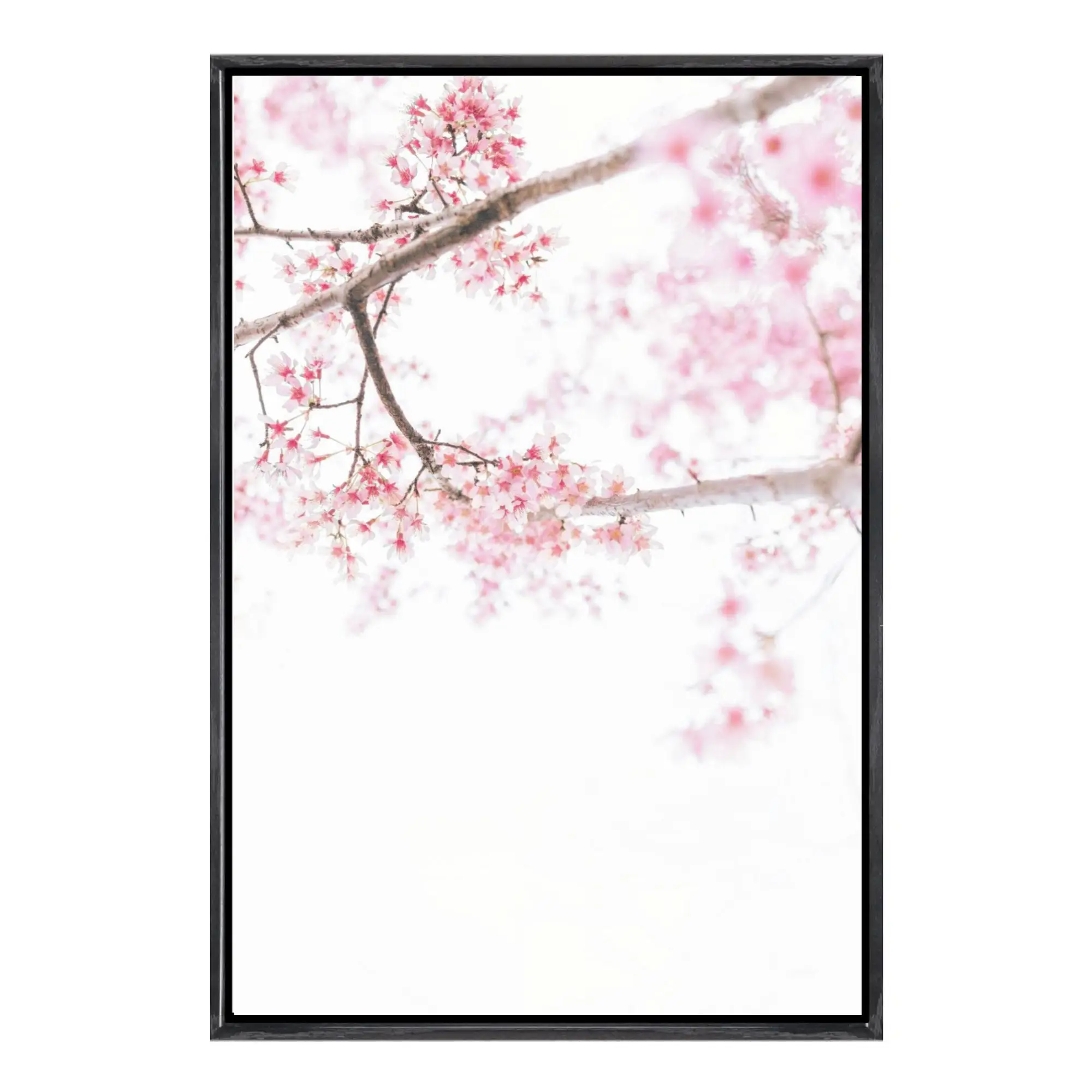 Sakura Japón, arte de pared enmarcado en lienzo, hermosa impresión escénica de árboles de flor de cerezo, cartel de paisaje japonés de primavera floreciente