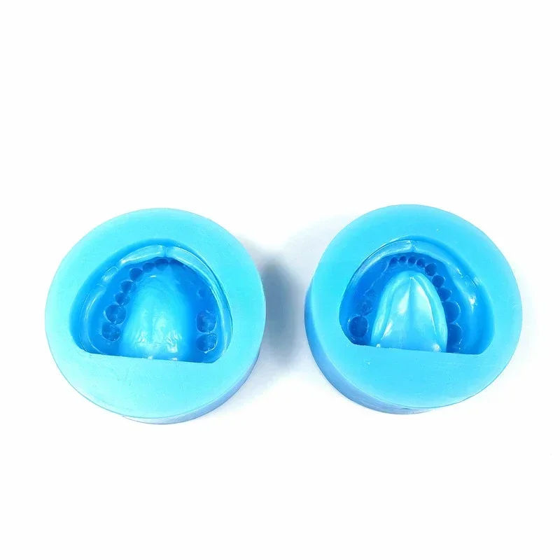 

Dentals material silicone rubber female mold full mouth model with dentals impression film without impression