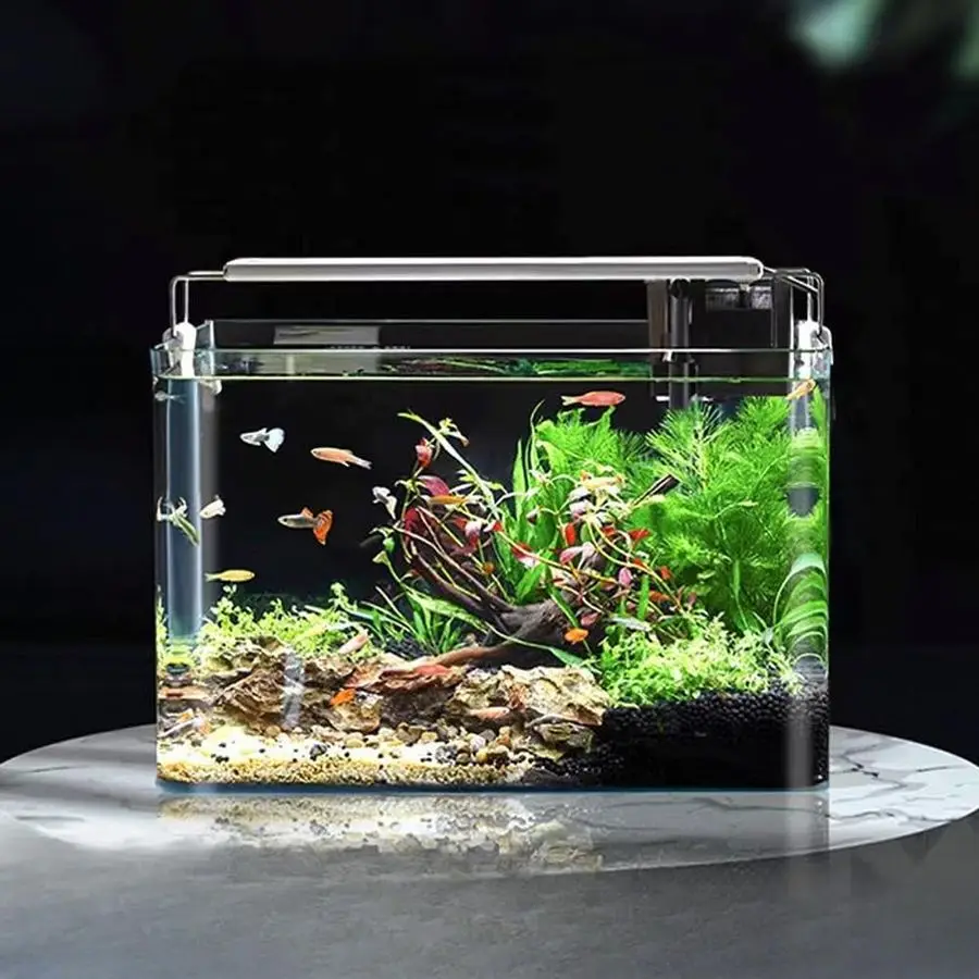 Rimless Glass Aquarium Tank 2