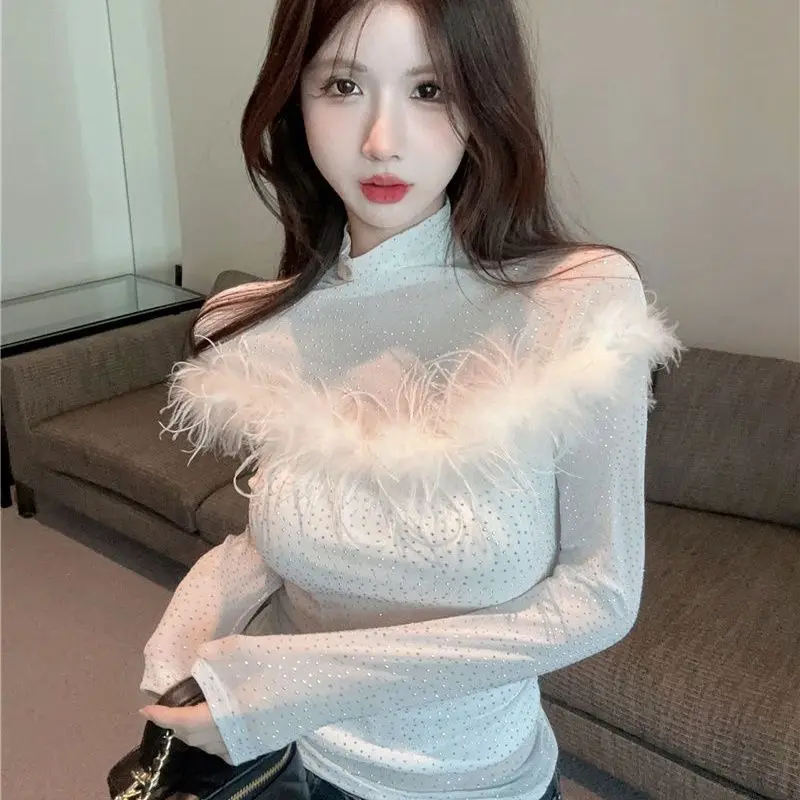 2024 Early Spring New French High Neck Mesh Spliced Feather Design Knitted T-shirt Women\'s Top  women t shirt