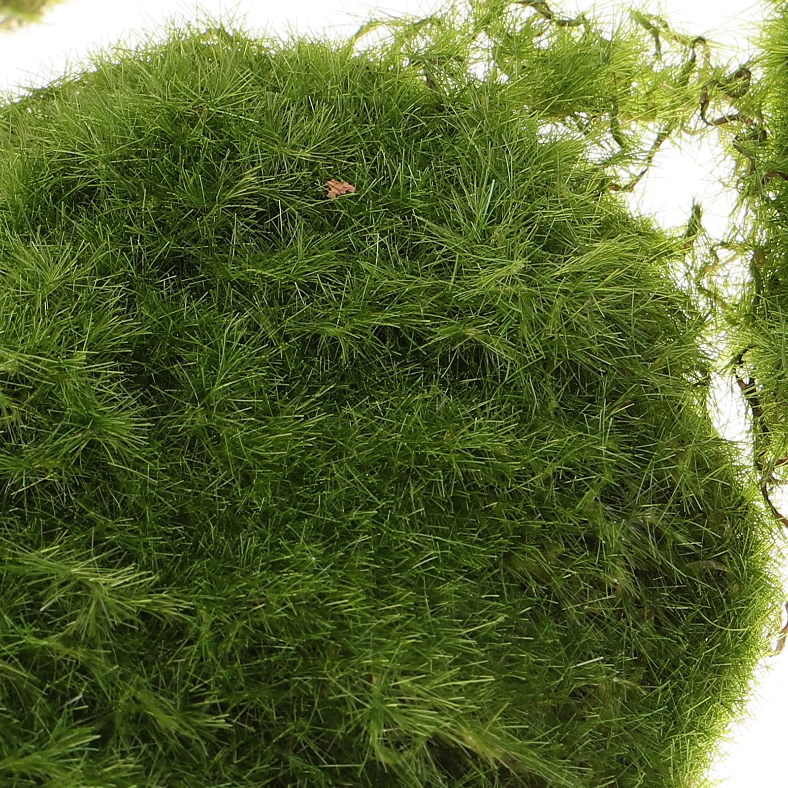 6 pezzi di pietre muschiose artificiali simulazione rocce di muschio finte decorative realistiche bonsai oggetti di scena da giardino per lo sfondo della parete dell'home office