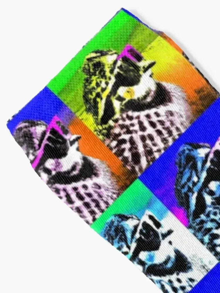 Good ol' Bobwhite Critter Tribute ... Andy Warhol Pop Art Style Socks cycling designer Men's Socks Luxury Women's