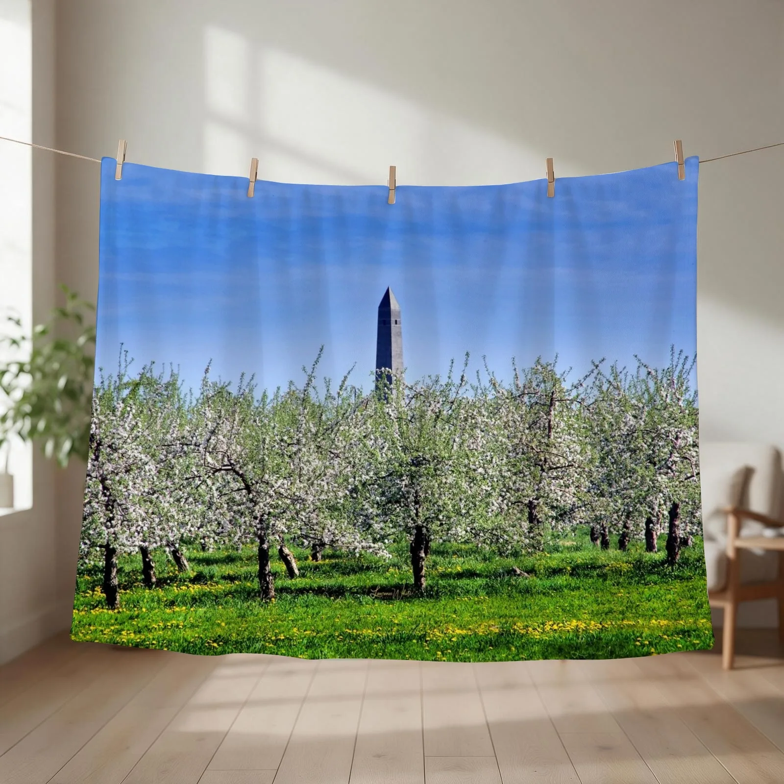 Saratoga Monument, Apple Blossoms Throw Blanket Designers Comforter Soft Beds Decorative Sofa Blankets