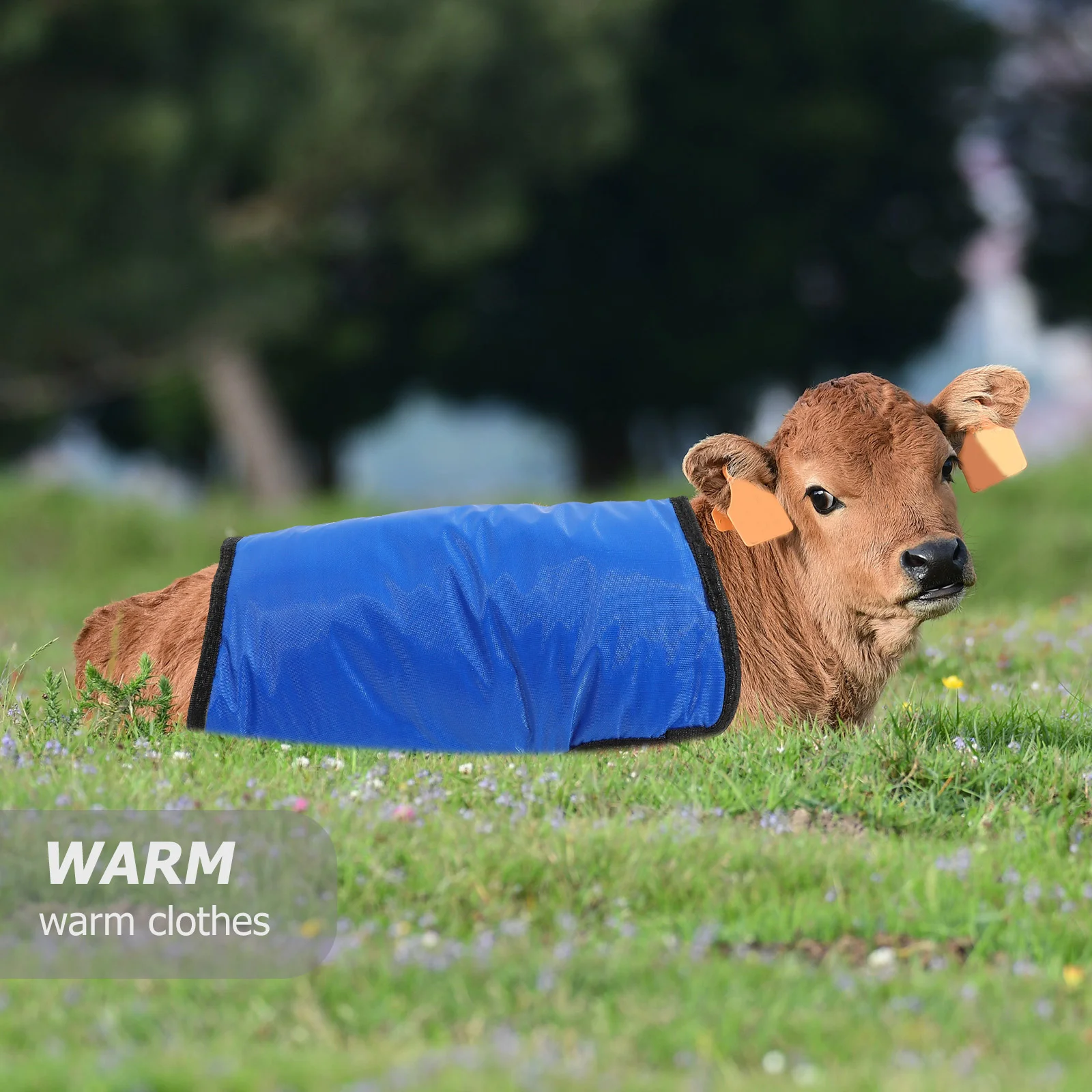 Calf Vest Coat Lamb Belly Protection Thicken Cow Warm Clothing Pasture Supplies Flannel Clothes