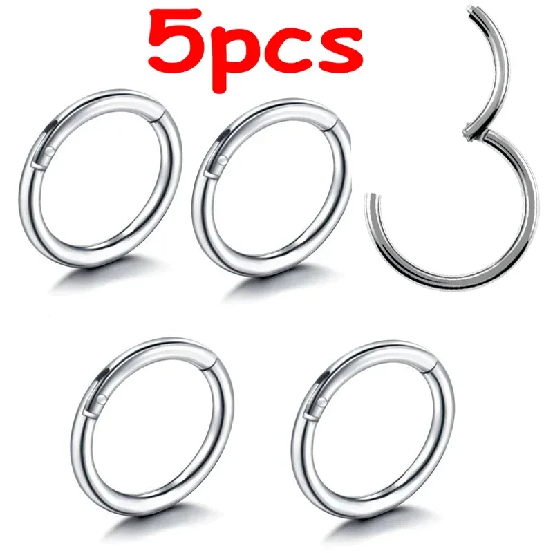 Nose Ring Hinged Clicker Segment Rings Set, Gift
