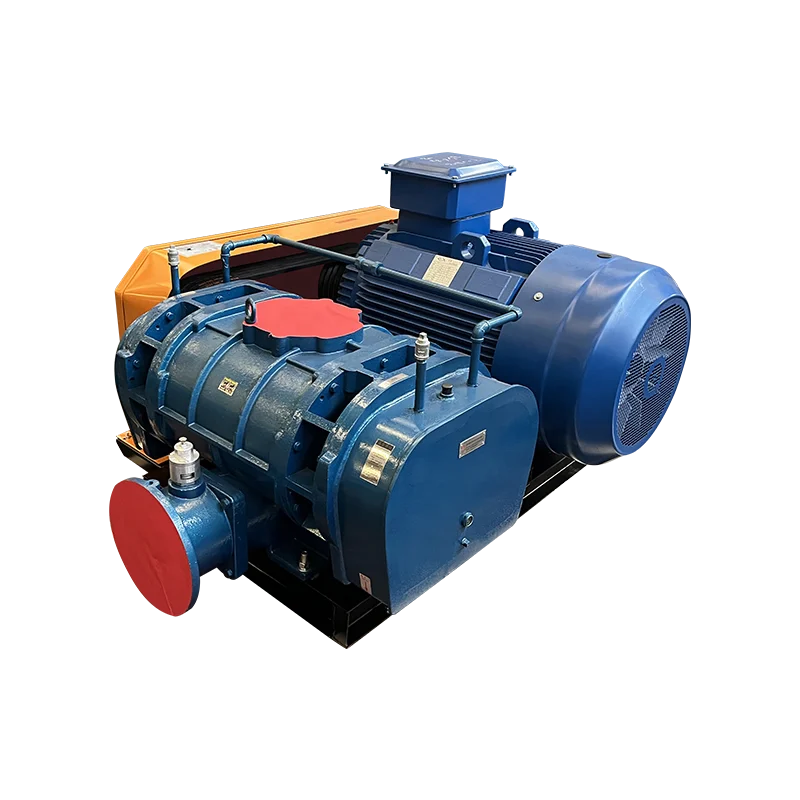 Lubrication-free Maintenance-free Professional Manufacture Leaf Vacuum Direct Type Roots Blower  Hot Selling Roots Air Blower