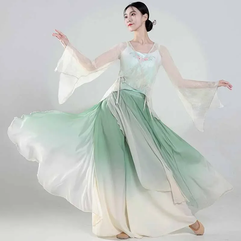 

Classical Dance Clothing Women Elegant Temperament Chinese Dance Performance Costumes Ancient Style Training Uniforms Dancewear
