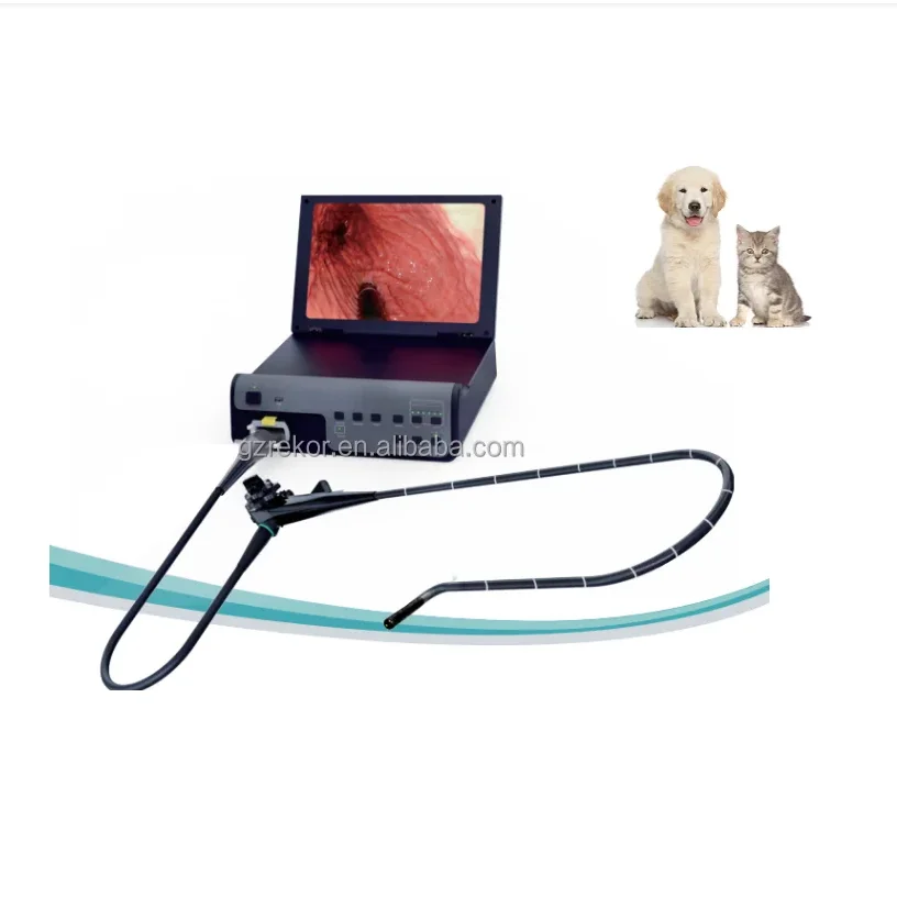 High resolution flexible video veterinary gastroscope endoscope ca-me-ra for cat dog cattle sheep