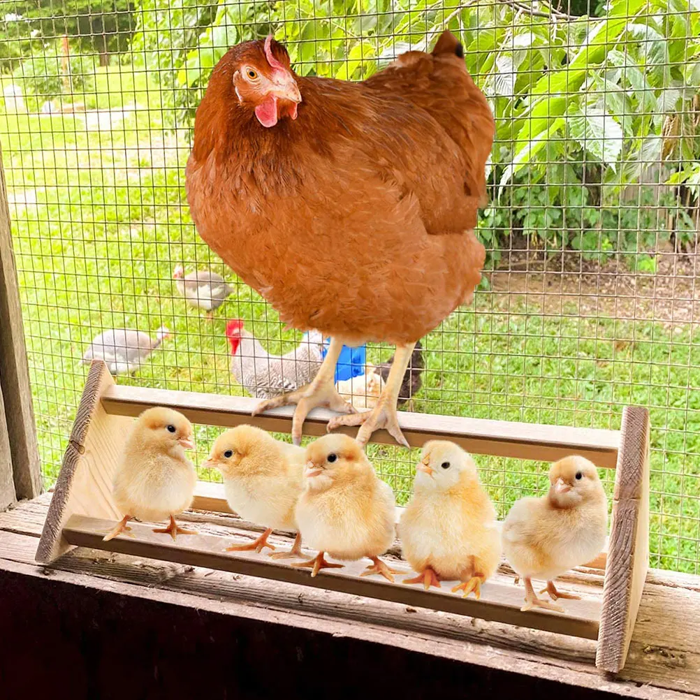 

Natural Wood Bird Stand Pet Bird Perch Stand For Chick Chicken Rooster Budgies Parrots Safe Durable Long Service Life Practical