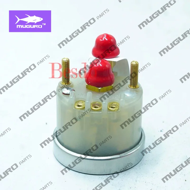 Construction Machinery Engine Parts 3866089 Pressure Gauge 3866089