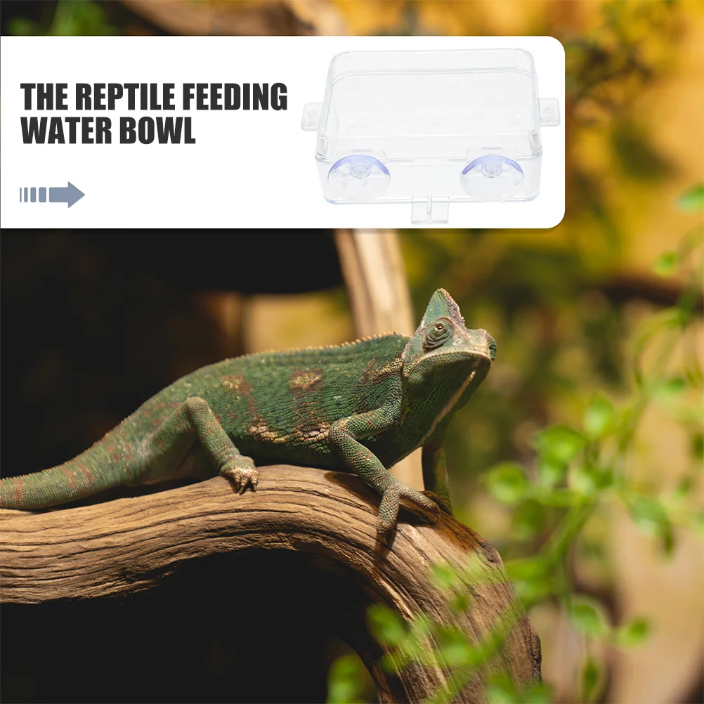 Reptile Anti-escape Feeder Fogger Feeding Bowl Suction to Glass Snake Water Dish