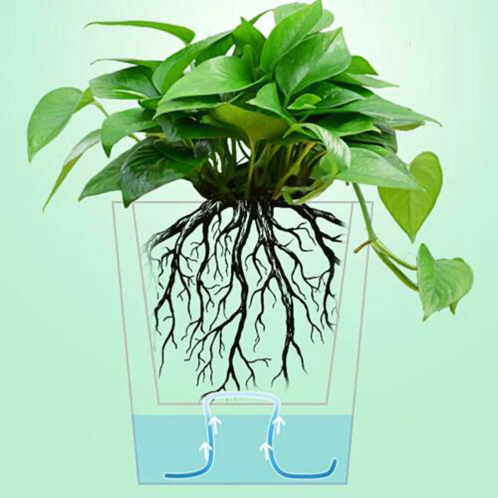 10m Self Watering  Cord Adjustable Length Cotton Material Suitable for Indoor Potted Plant