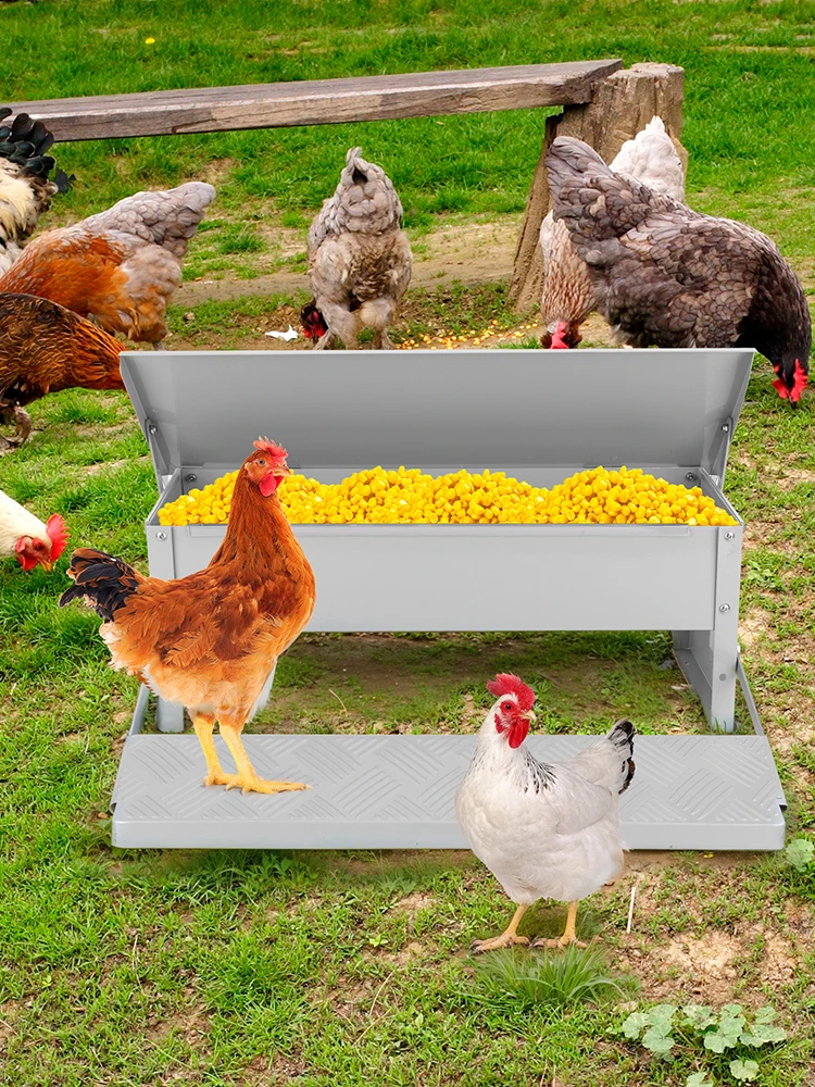 

Automatic Chicken Feeder with Weatherproof Lid Treadle Chicken Feeder Metal Chicken Feeder for Chickens Geese Ducks Turkeys