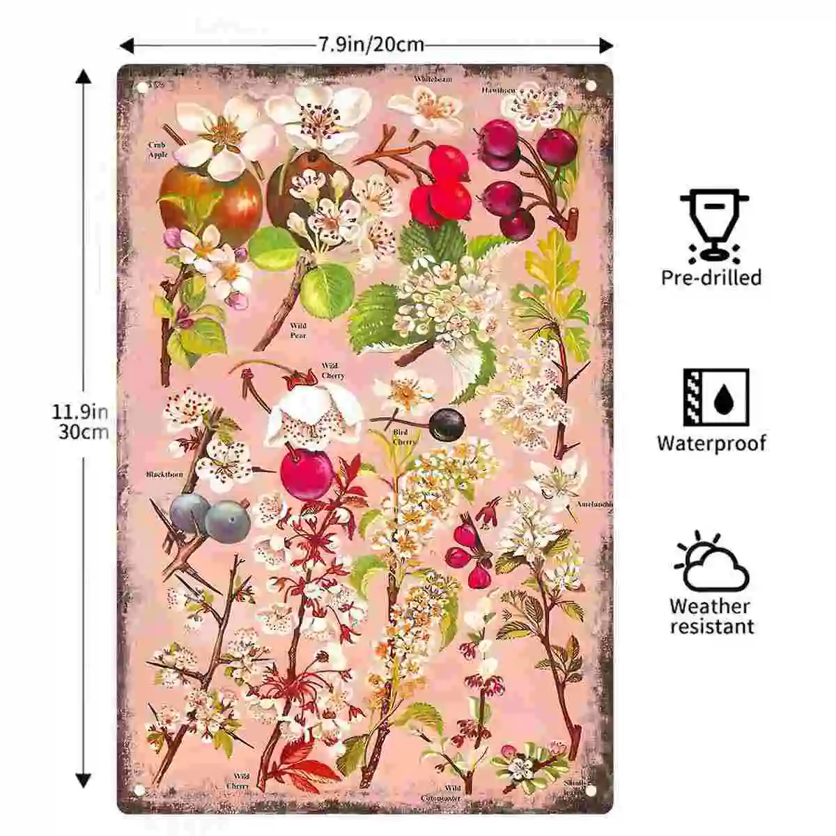 2D FLAT 1pc Vintage Botanical Fruit Blossom Poster Decoration for Home Cafe Bedroom Living Room And Garden