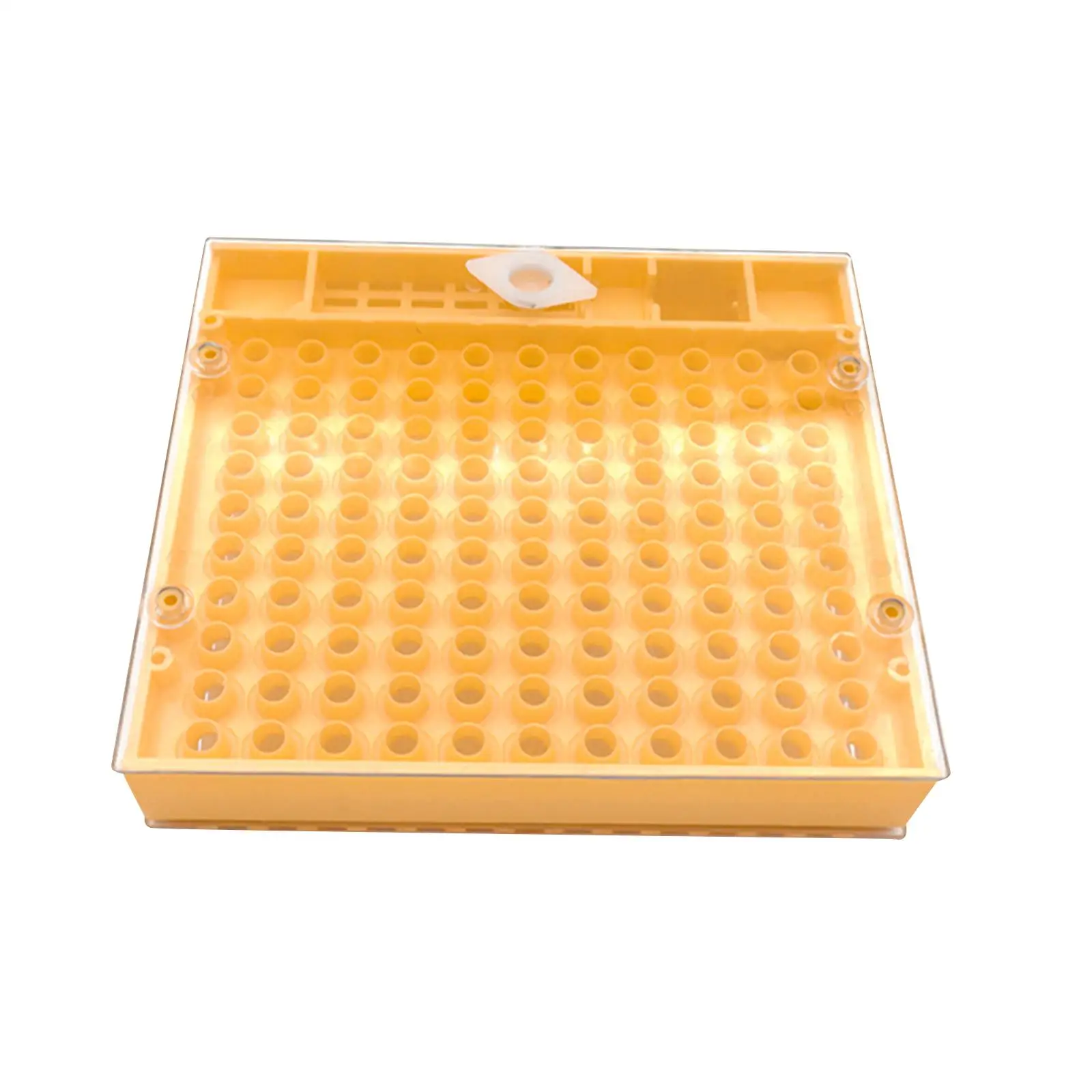 Queen Rearing Box Queen Bee Development Container Practical for Outdoor Gate