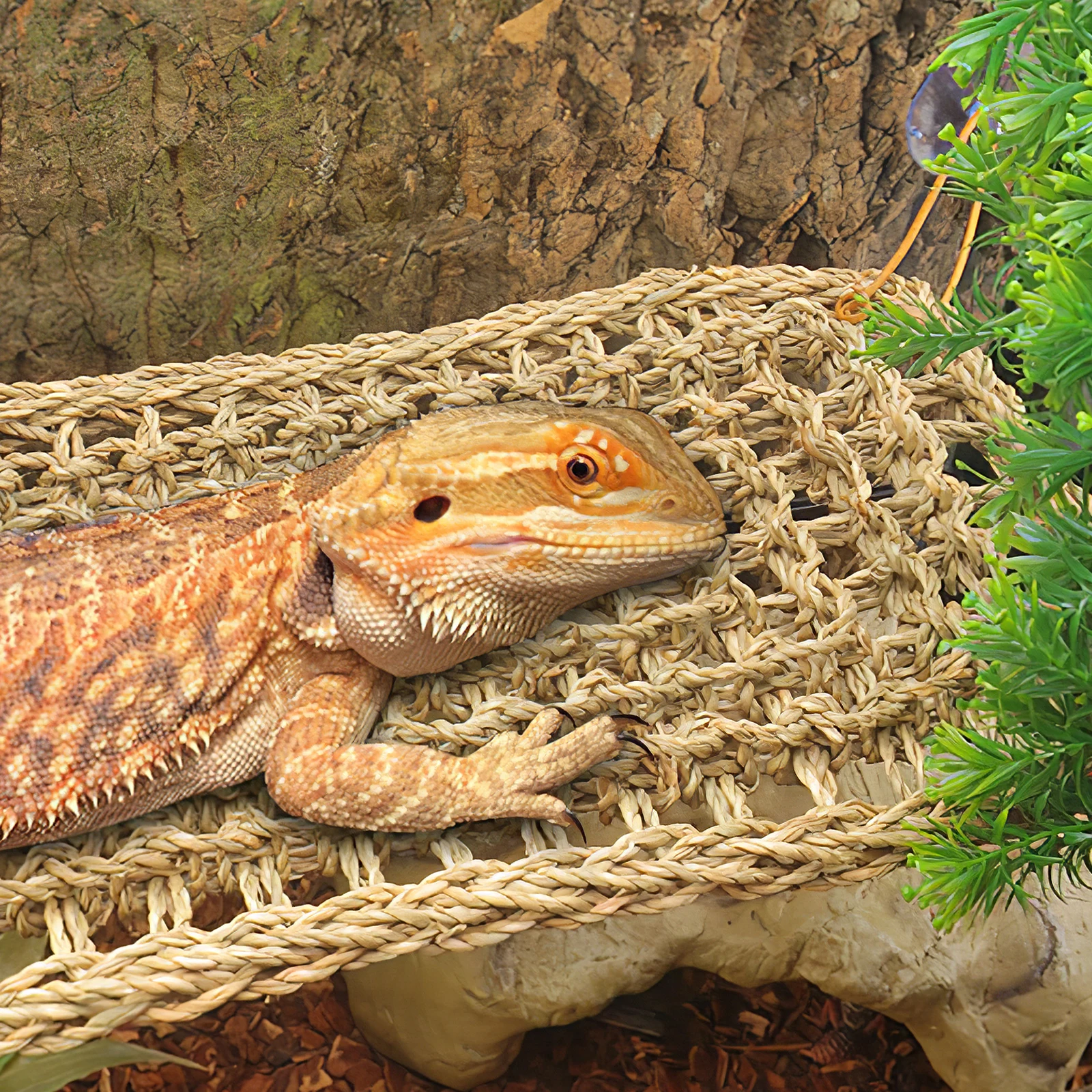 

Lizard Hammock Bed Pet Bunk Cage Grass Fibers Reptile Hanging Natural Durable Comfortable Secure Rest Sleep Lounger Climbable